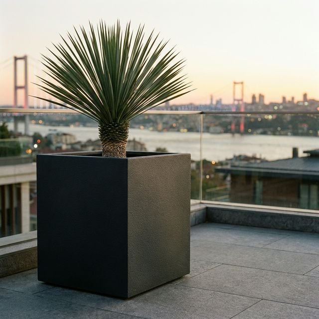 Atlas Uzun Dikdörtgen Saksı